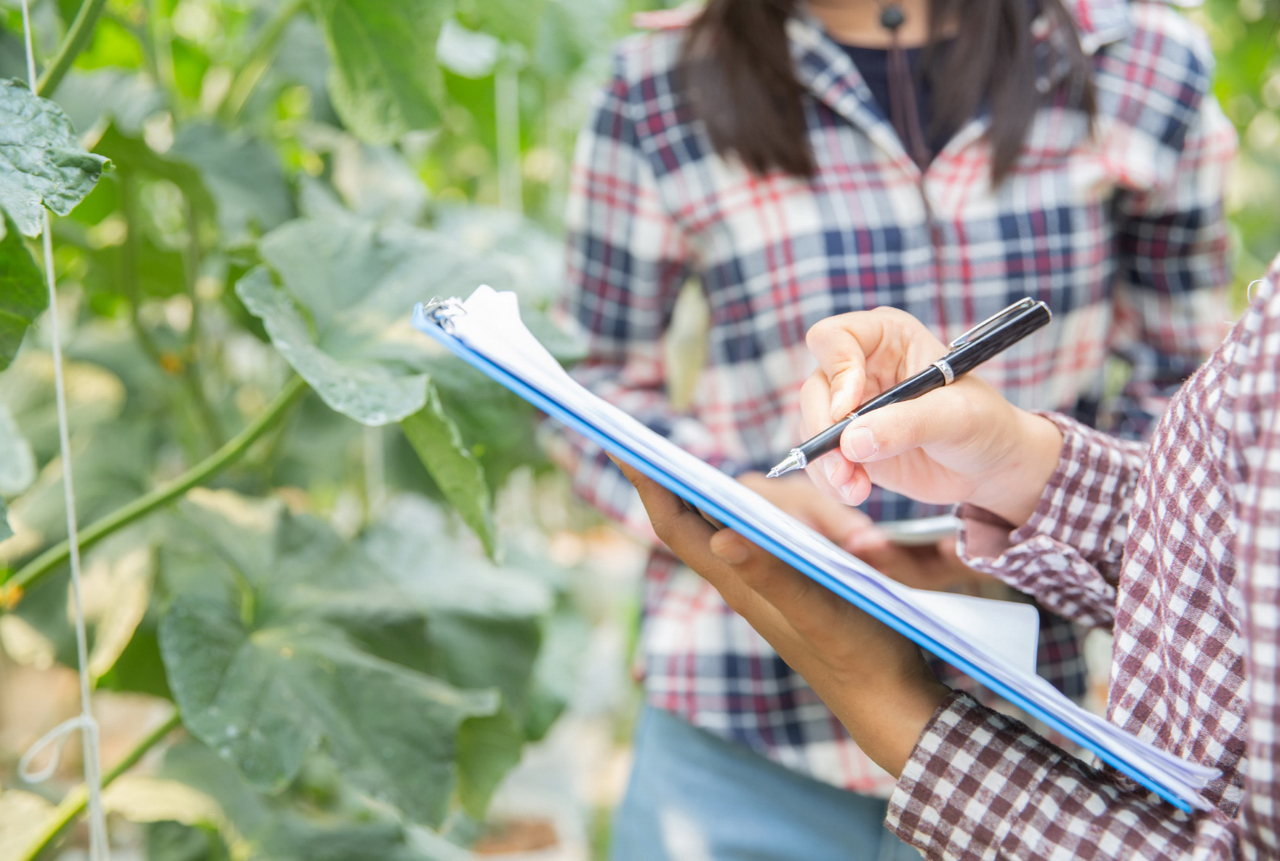 Asesoría en el uso y aplicación de nuestros productos
