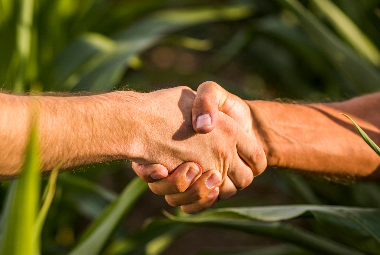 Compromiso y confianza a largo plazo